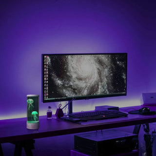 Playlearn light up toy Jellyfish LED Lamp (White) 03802884772458