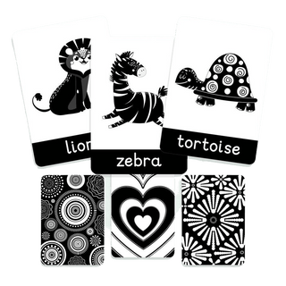 My Little Learner Baby Sensory Cards Baby Sensory Cards - Black & White Flashcards